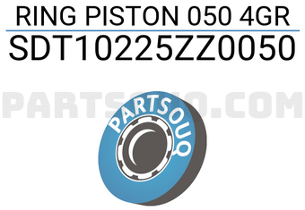 NPR SDT10225ZZ0050 RING PISTON 050 4GR