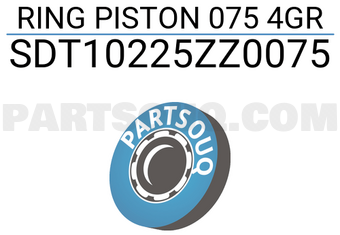 NPR SDT10225ZZ0075 RING PISTON 075 4GR