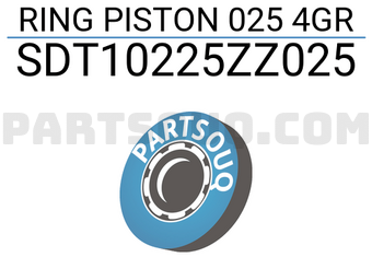NPR SDT10225ZZ025 RING PISTON 025 4GR