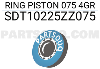 NPR SDT10225ZZ075 RING PISTON 075 4GR