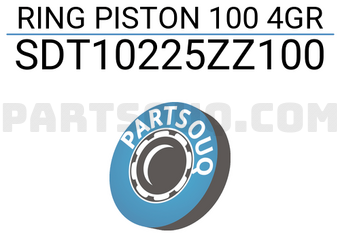 NPR SDT10225ZZ100 RING PISTON 100 4GR