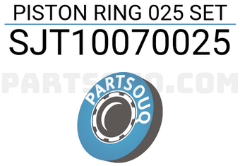 NPR SJT10070025 PISTON RING 025 SET