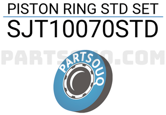 NPR SJT10070STD PISTON RING STD SET