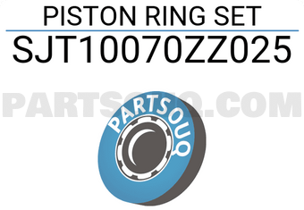NPR SJT10070ZZ025 PISTON RING SET