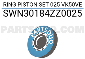 NPR SWN30184ZZ0025 RING PISTON SET 025 VK50VE