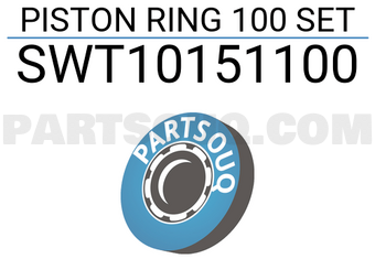 NPR SWT10151100 PISTON RING 100 SET