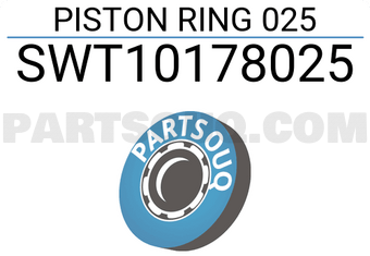 NPR SWT10178025 PISTON RING 025