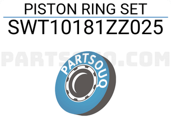 NPR SWT10181ZZ025 PISTON RING SET