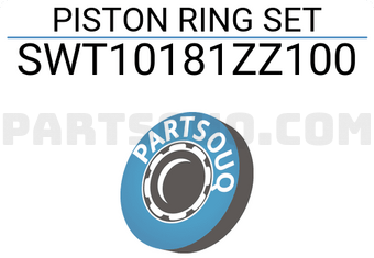 NPR SWT10181ZZ100 PISTON RING SET