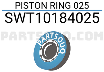 NPR SWT10184025 PISTON RING 025