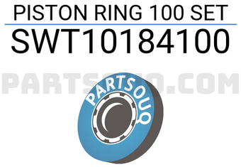 NPR SWT10184100 PISTON RING 100 SET