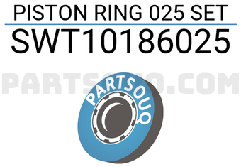 NPR SWT10186025 PISTON RING 025 SET