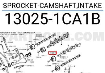 Nissan 130251CA1B SPROCKET-CAMSHAFT,INTAKE