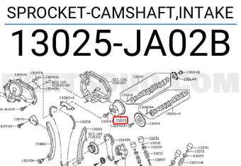 Nissan 13025JA02B SPROCKET-CAMSHAFT,INTAKE