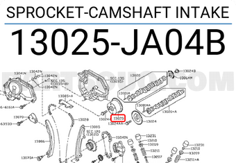 Nissan 13025JA04B SPROCKET-CAMSHAFT INTAKE