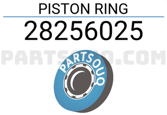 RIKEN 28256025 PISTON RING