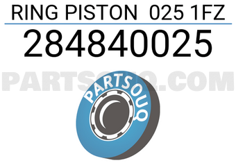 RIKEN 284840025 RING PISTON 025 1FZ