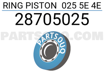 RIKEN 28705025 RING PISTON 025 5E 4E