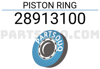 RIKEN 28913100 PISTON RING