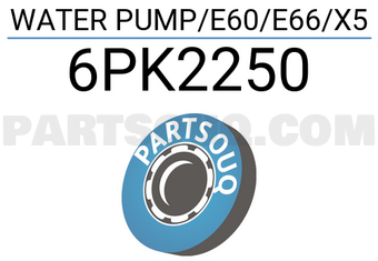 SKF 6PK2250 WATER PUMP/E60/E66/X5
