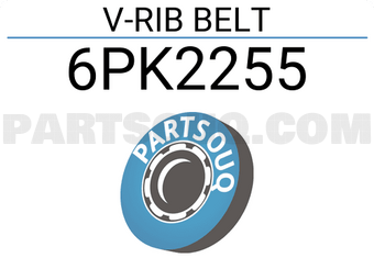 SUN 6PK2255 V-RIB BELT