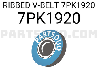 SUN 7PK1920 RIBBED V-BELT 7PK1920
