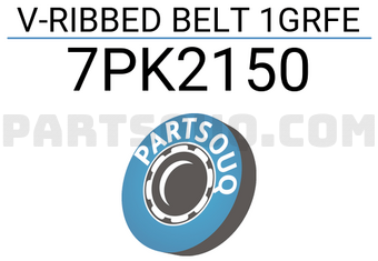 SUN 7PK2150 V-RIBBED BELT 1GRFE