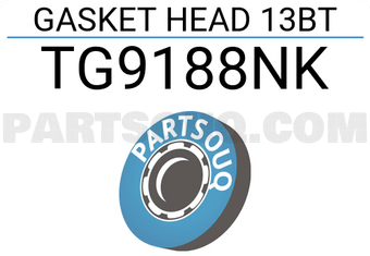 TEIKIN TG9188NK GASKET HEAD 13BT (SET OF 1)