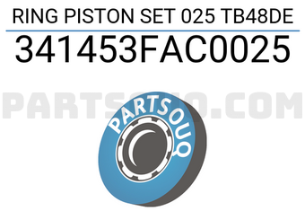 TP 341453FAC0025 RING PISTON SET 025 TB48DE
