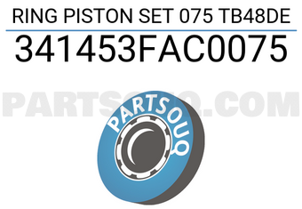 TP 341453FAC0075 RING PISTON SET 075 TB48DE