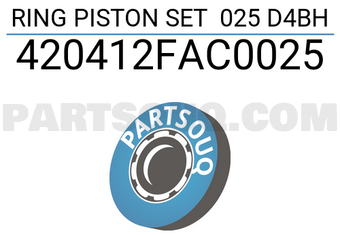 TP 420412FAC0025 RING PISTON SET 025 D4BH