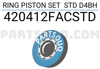 TP 420412FACSTD RING PISTON SET STD D4BH