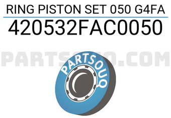 TP 420532FAC0050 RING PISTON SET 050 G4FA