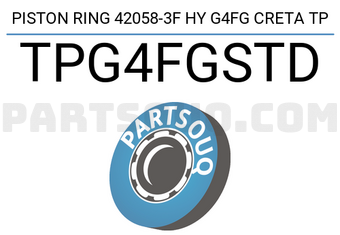 TP TPG4FGSTD PISTON RING 42058-3F HY G4FG CRETA TP