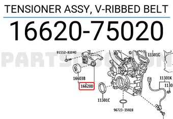 Toyota 1662075020 TENSIONER ASSY, V-RIBBED BELT