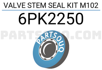 Victor Reinz 6PK2250 VALVE STEM SEAL KIT M102