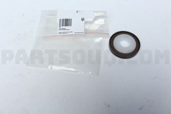 11142249532 SHAFT SEAL/MANYMODELS