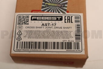 AST17 UNIVERSAL JOINT 29X49