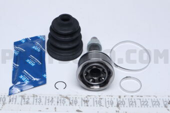 NI60 CV JOINT (22*55*25)