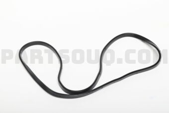 12341P8AA00 PKG,HEAD COVER
