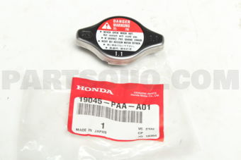 19045PAAA01 CAP COMP