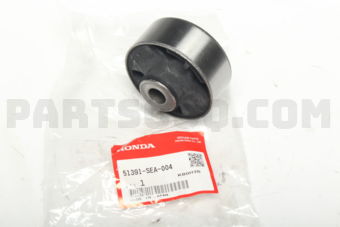 51391SEA004 BUSH,COMPLIANCE F