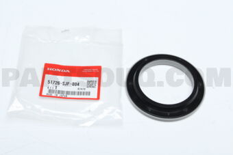 51726SJF004 BRG.DPR MT FR