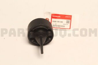 52385SR3000 BUSH,RR.TRAILING