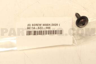 90114SZ3000 SCREW WASH,5X20
