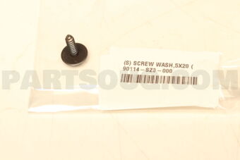 90114SZ3000 SCREW WASH,5X20