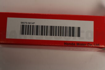 980795614P SPARK PLUG(ZFR6J-11)