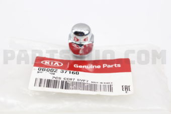 0B00237160 NUT-HUB