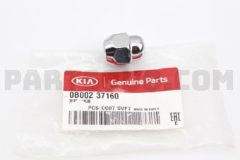 0B00237160 NUT-HUB