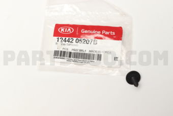 1244205207B SCREW-TAPPING